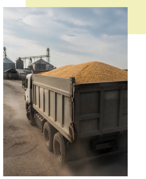Перевозка сельхозпродукции навалом в Ирбит по цене от 3298 р. | Агросервис-Рбт